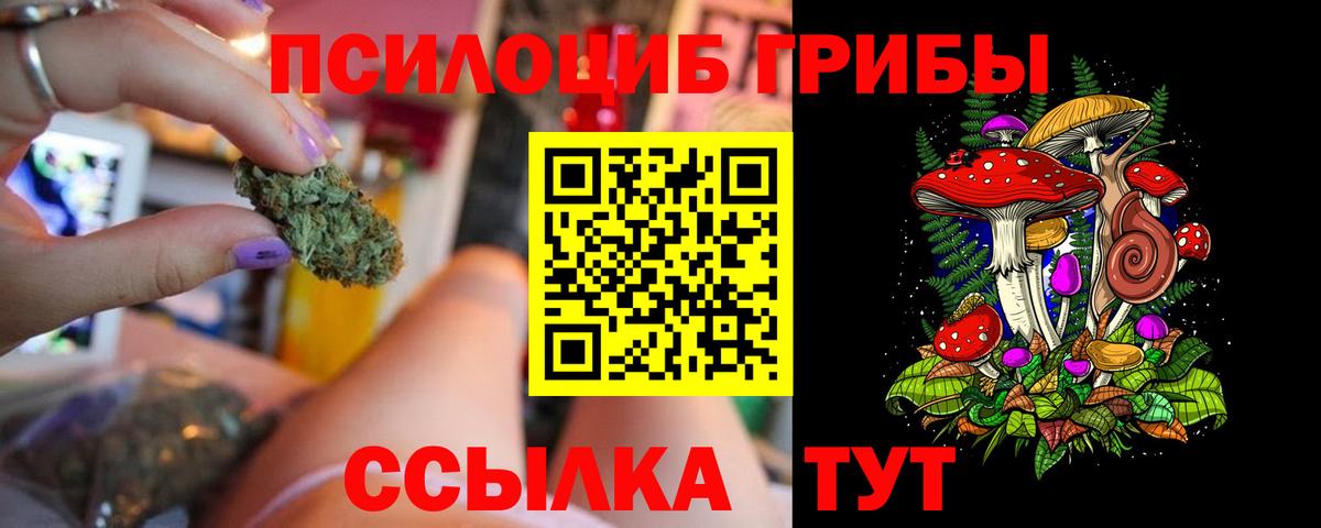 Псилоцибиновые грибы мицелий  Вход с VPN  Сатка 